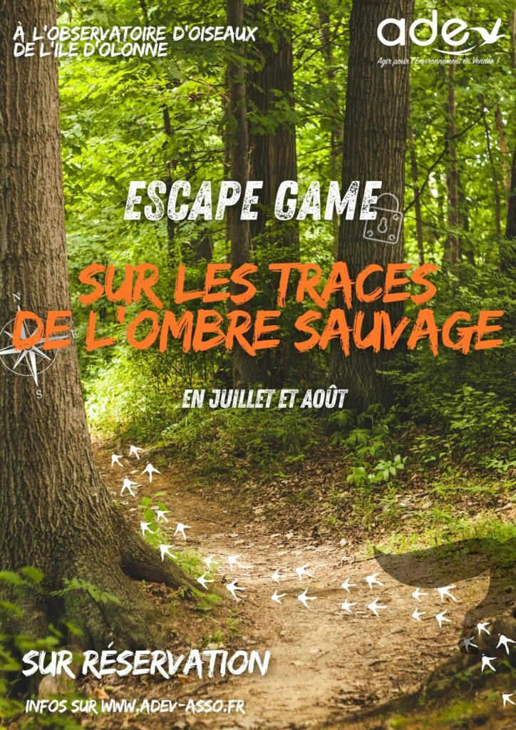 Escape Game Nature 2024 Vendée Olonne