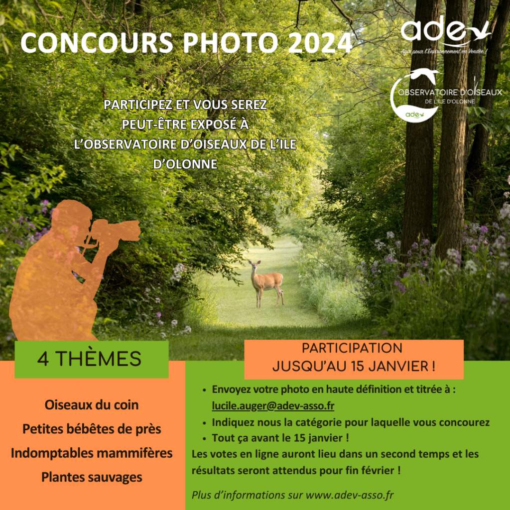 Lire la suite à propos de l’article Concours photos : plus que quelques jours pour donner votre avis !