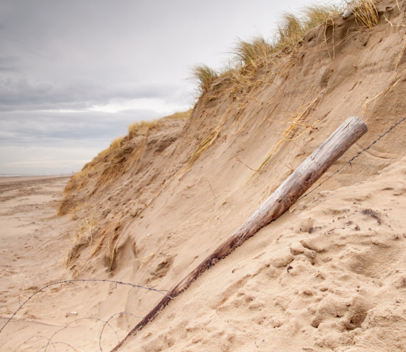 You are currently viewing Nouveau dossier : La dune, ce milieu fragile !